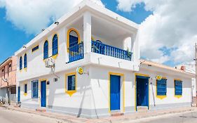 Casa Flor Hostel & Drinks